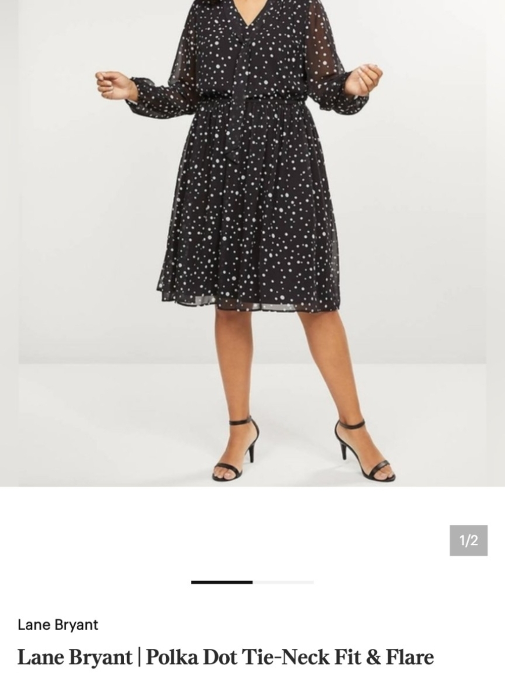 Lane Bryant Black Polka Dot Fit & Flare Skirt